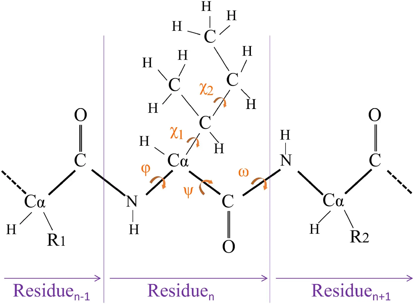 Adoption of an Improved PSO to Explore a Compound Multi-Objective Energy Function in Protein Structure Prediction
