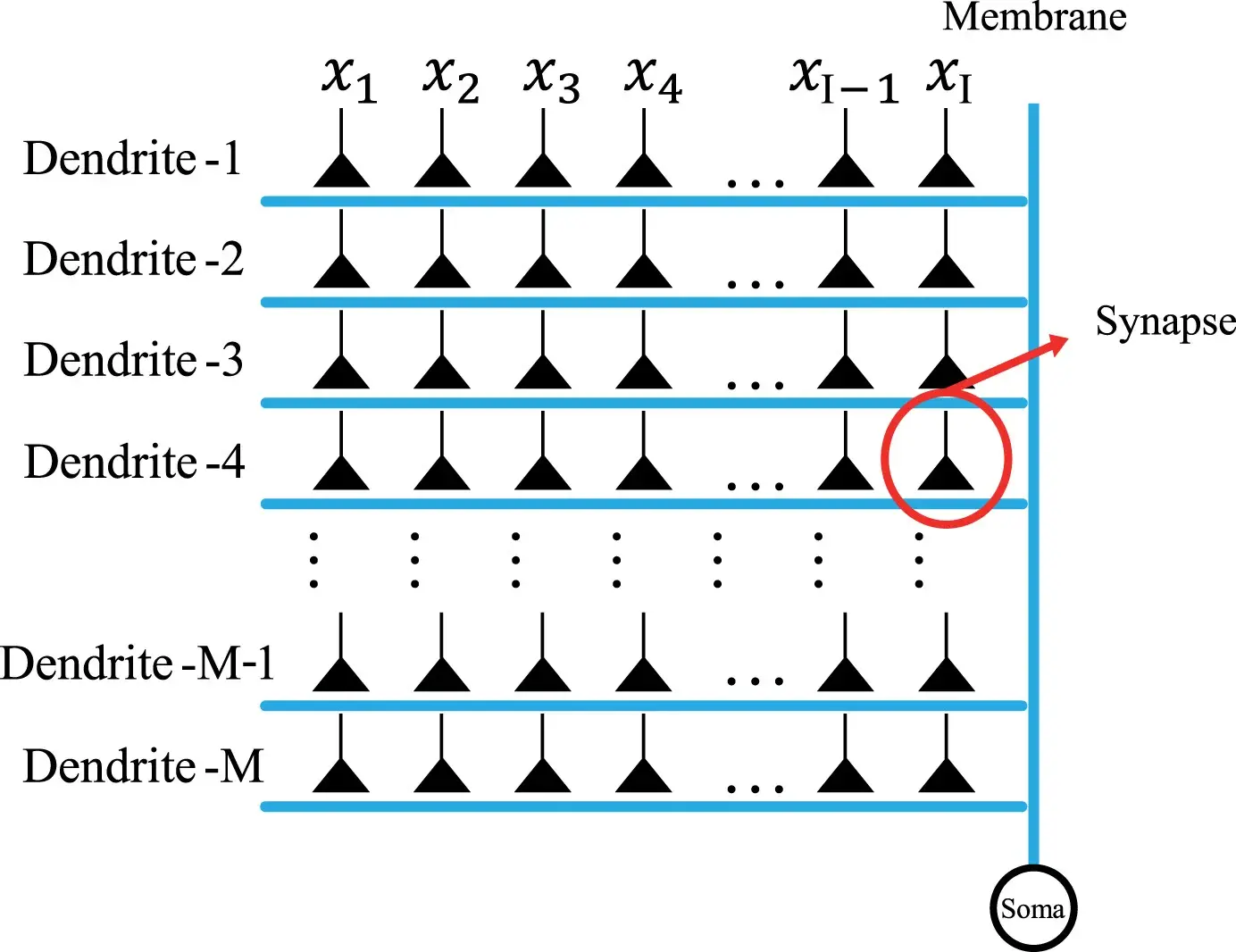 A Novel Machine Learning Technique for Computer-Aided Diagnosis